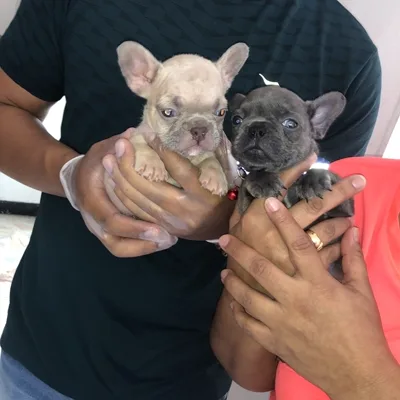 Familia feliz: Diego A.