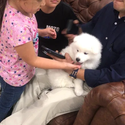 Familia feliz: Ana S.