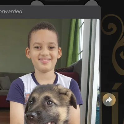Cachorro entregado a su nueva familia